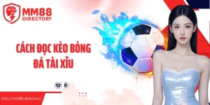 cách đọc kèo bóng đá tài xỉu